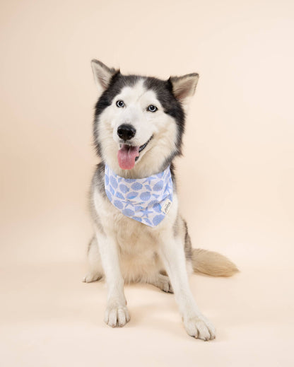 Seaside Dog Bandana : L
