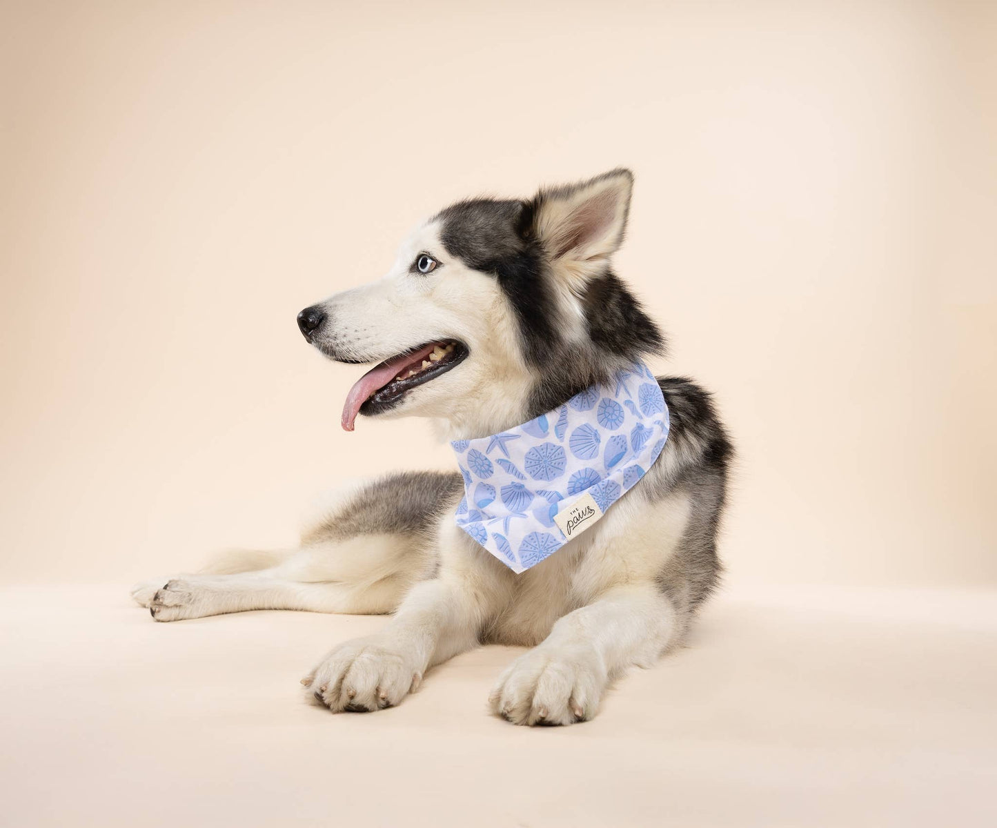 Seaside Dog Bandana : S