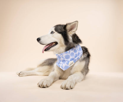 Seaside Dog Bandana
