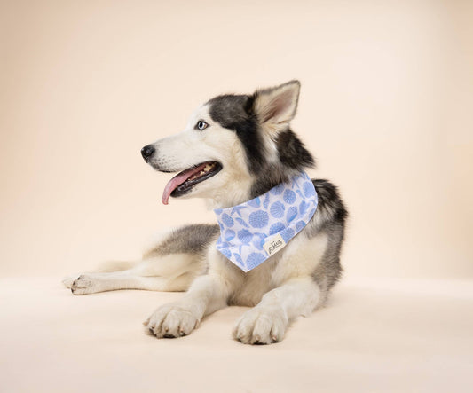 Seaside Dog Bandana