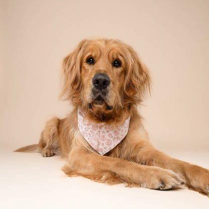 Tides Dog Bandana