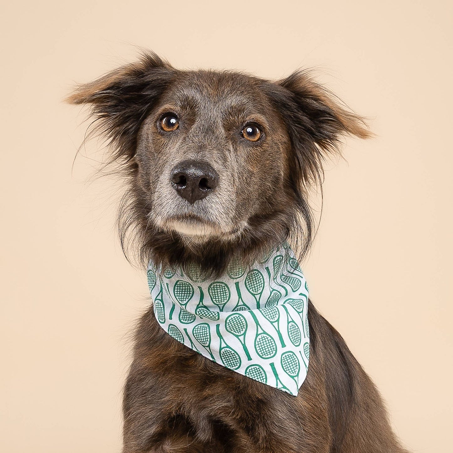 Tennis Dog Bandana