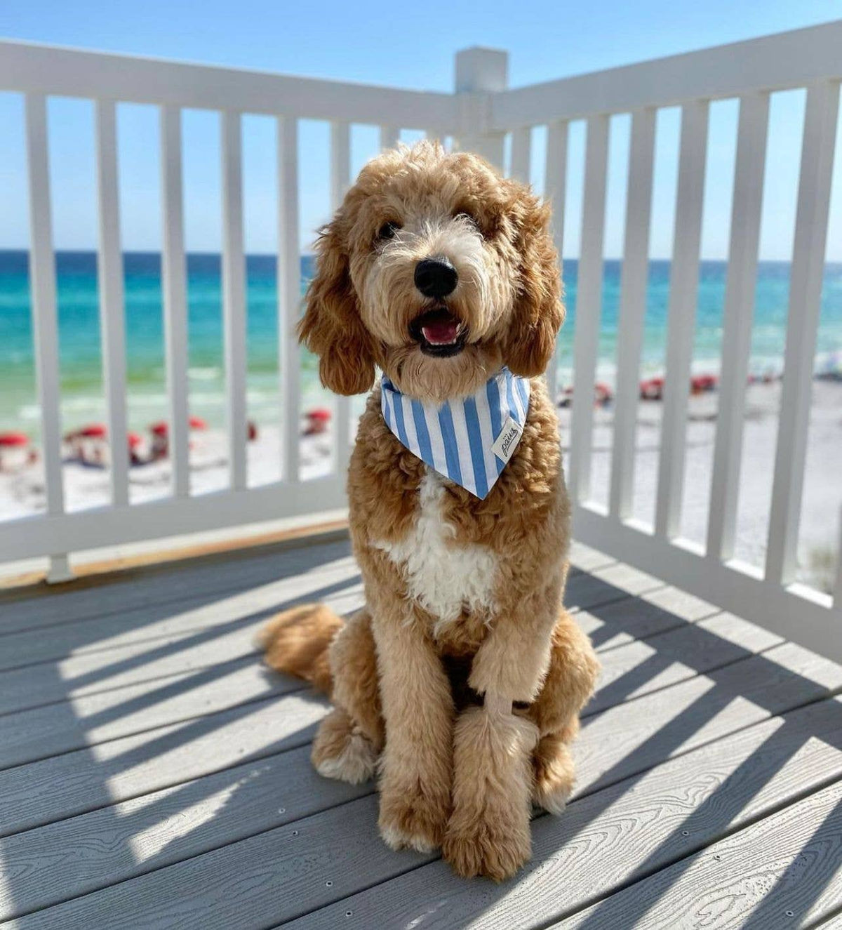 Cabana Blue Stripes  Dog Bandana: Small - Nik Naks, view 2 of 4