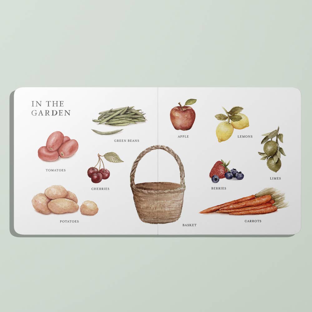 Our Big Book Of First Words