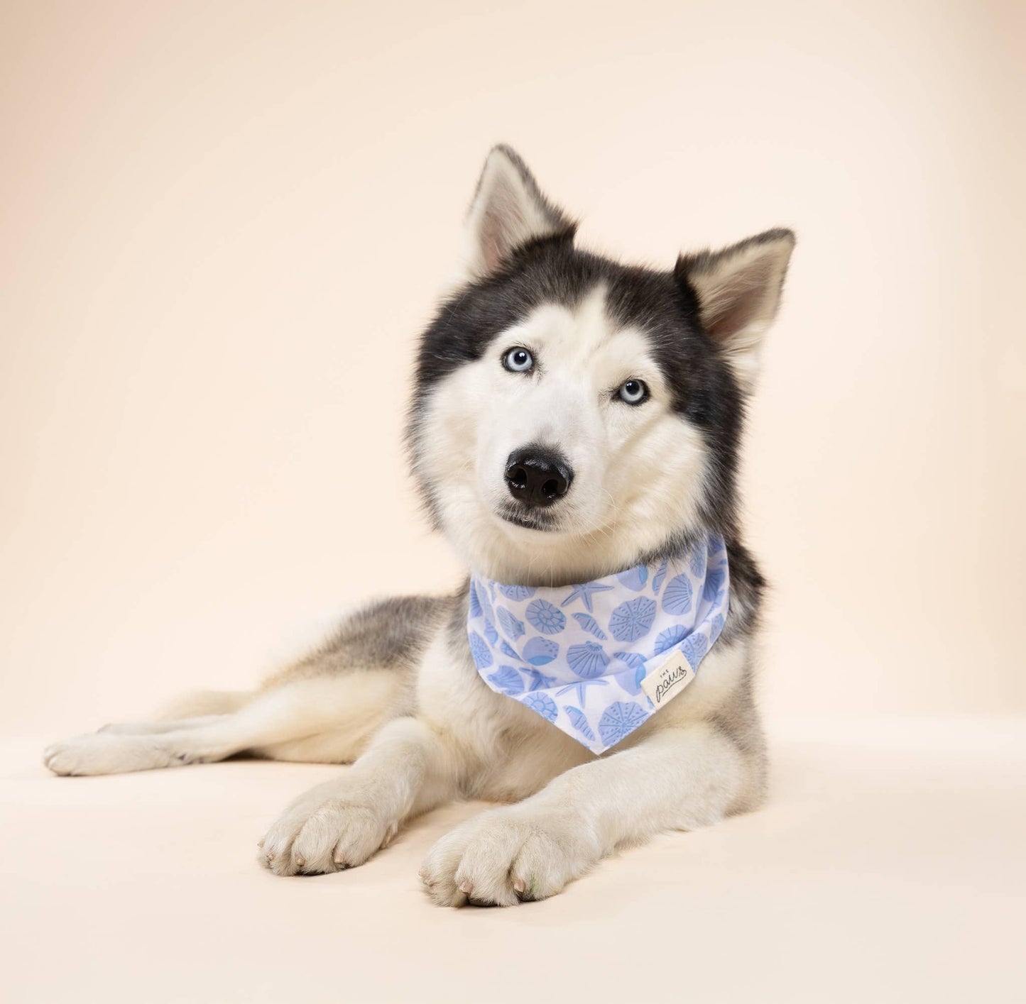 Seaside Dog Bandana : L