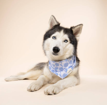 Seaside Dog Bandana : XS