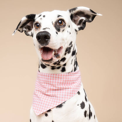 Pink Gingham Dog Bandana: XS