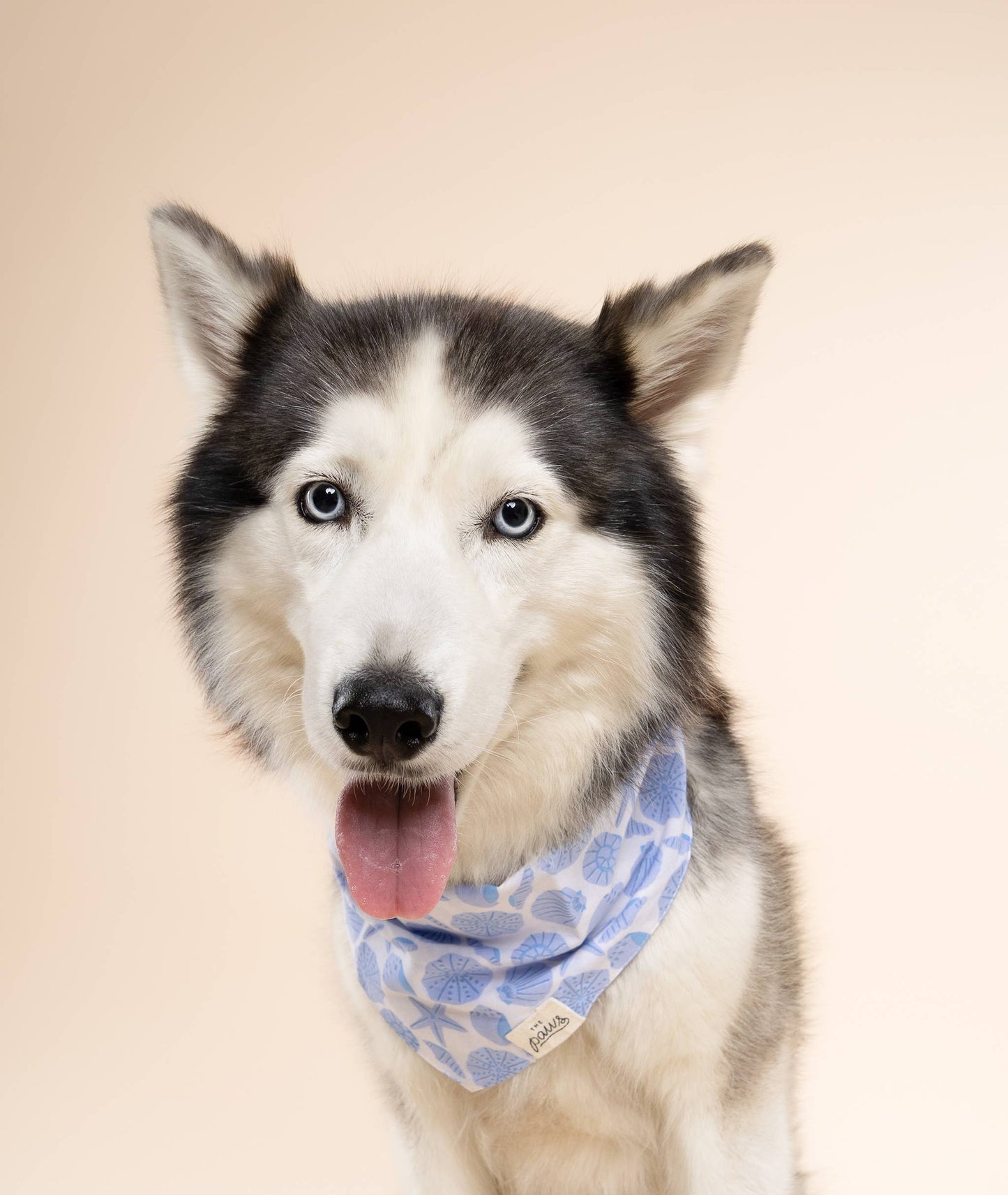 Seaside Dog Bandana : S