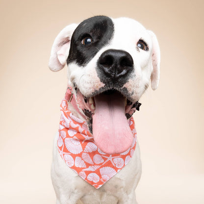 Flores Shell Dog Bandana