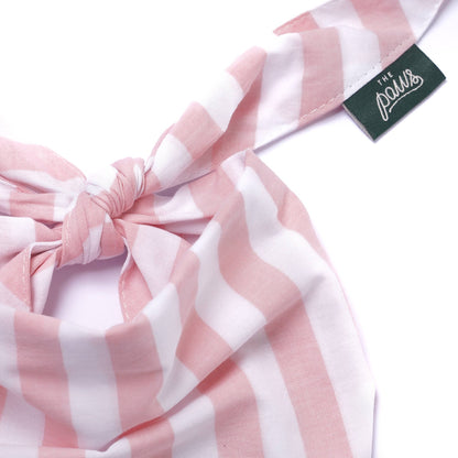 Cabana Blush Pink Dog Bandana: S - Nik Naks, view 4 of 4