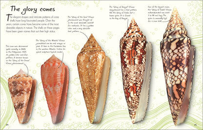 Anthology of Shells