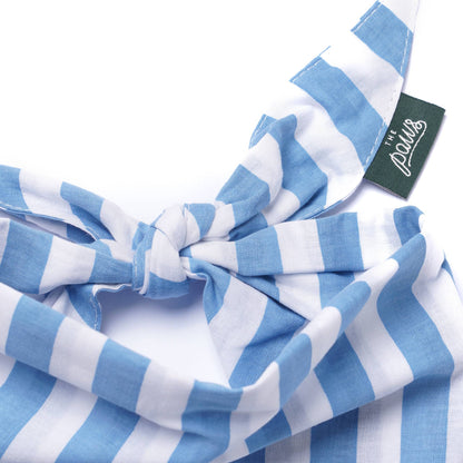 Cabana Blue Stripes  Dog Bandana: Small - Nik Naks, view 4 of 4