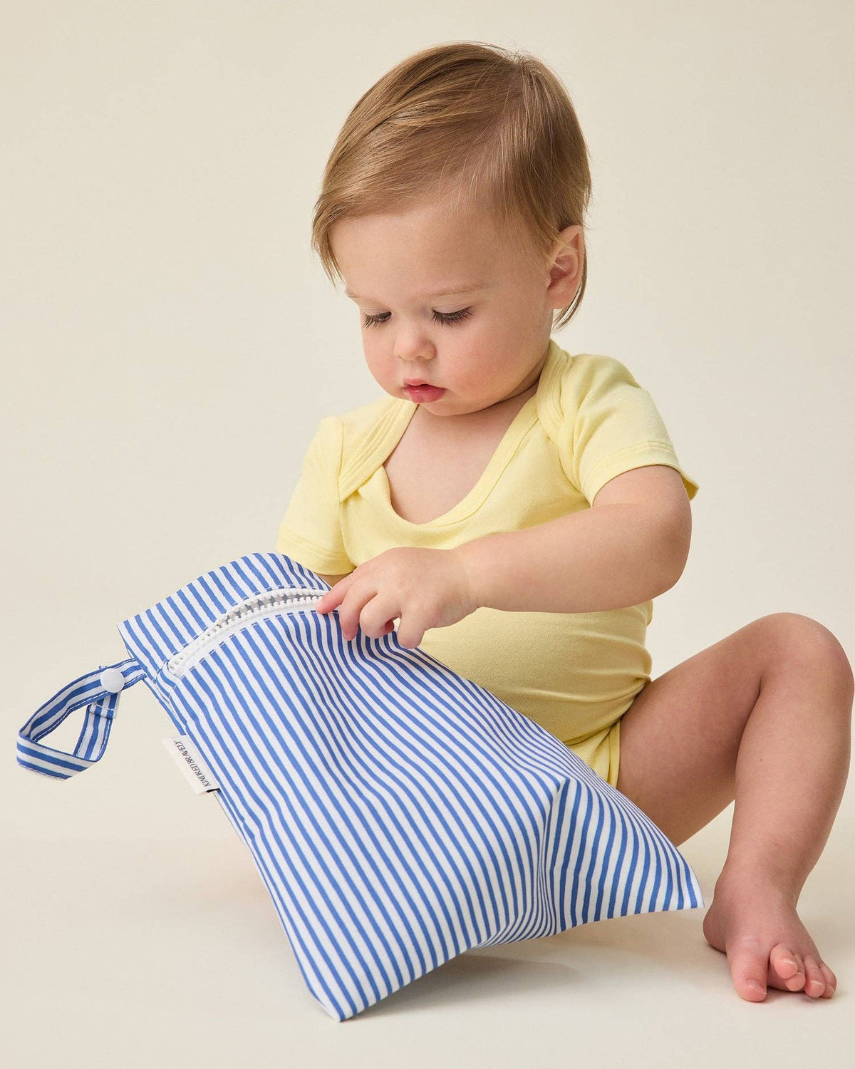 Wet/Dry Bag Set: Stripe