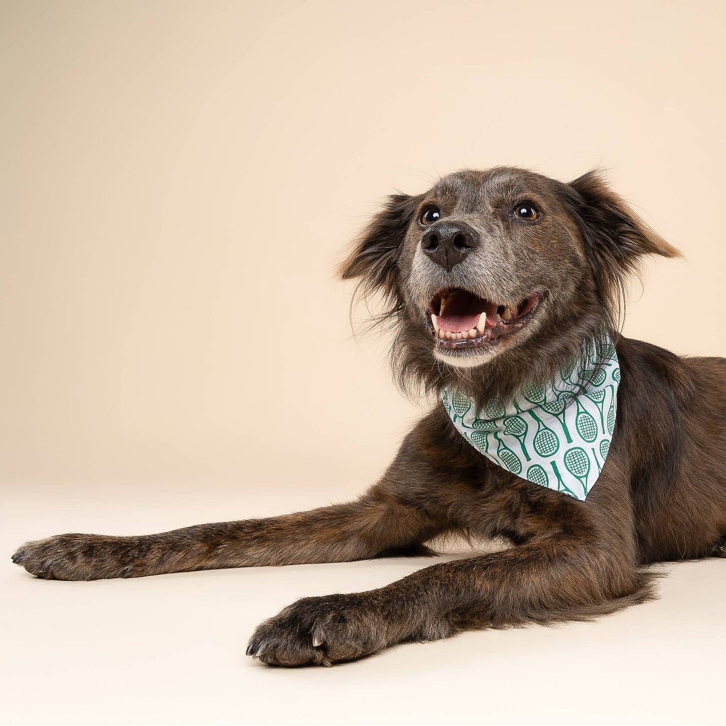 Tennis Dog Bandana