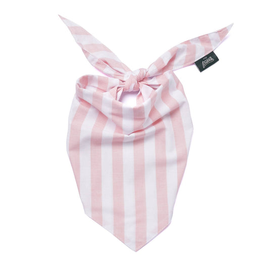 Cabana Blush Pink Dog Bandana: S - Nik Naks, view 1 of 4